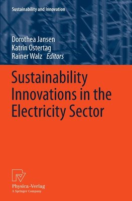 Sustainability Innovations in the Electricity Sector