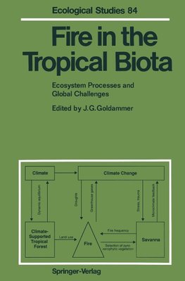 Fire in the Tropical Biota