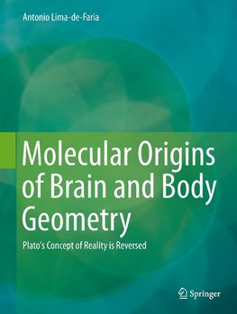 Molecular Origins of Brain and Body Geometry