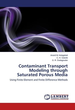 Contaminant Transport Modeling through Saturated Porous Media