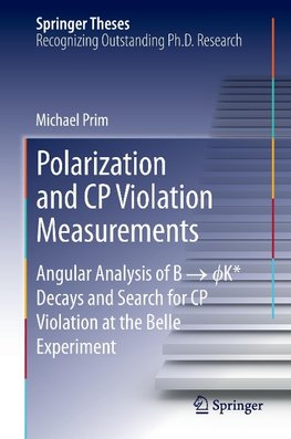 Polarization and CP Violation Measurements