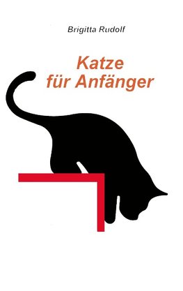 Katze für Anfänger