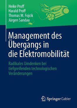 Management des Übergangs in die Elektromobilität