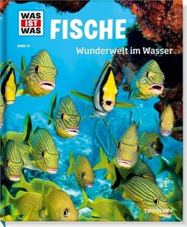 Fische. Wunderwelt im Wasser