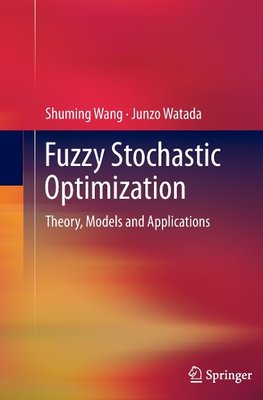 Fuzzy Stochastic Optimization