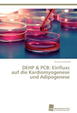 DEHP & PCB: Einfluss auf die Kardiomyogenese und Adipogenese