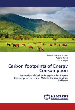 Carbon footprints of Energy Consumption