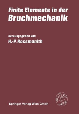 Finite Elemente in der Bruchmechanik