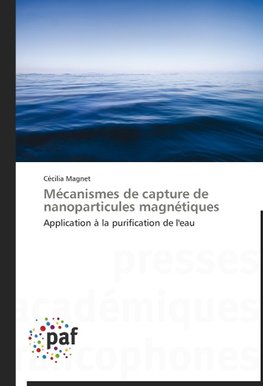 Mécanismes de capture de nanoparticules magnétiques