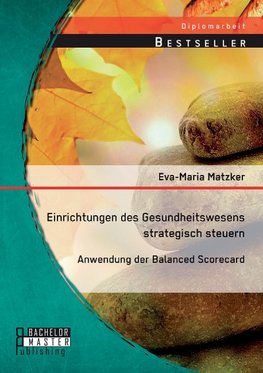 Einrichtungen des Gesundheitswesens strategisch steuern - Anwendung der Balanced Scorecard