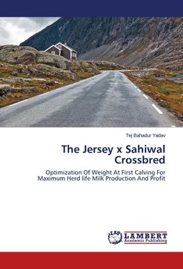 The Jersey x Sahiwal Crossbred