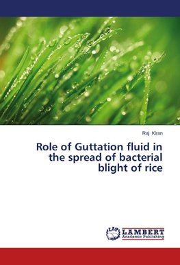 Role of Guttation fluid in the spread of bacterial blight of rice