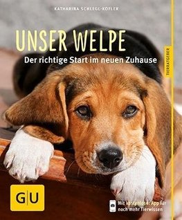 Unser Welpe