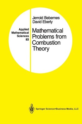 Mathematical Problems from Combustion Theory