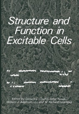 Structure and Function in Excitable Cells