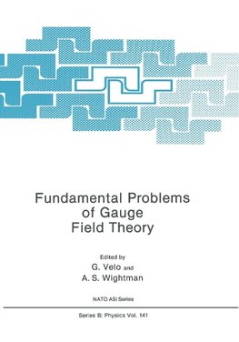 Fundamental Problems of Gauge Field Theory