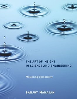 Art of Insight in Science and Engineering