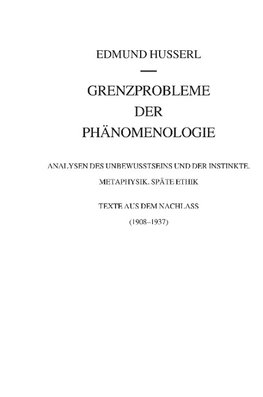 Grenzprobleme der Phänomenologie