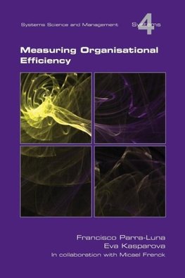 Measuring Organisational Efficiency