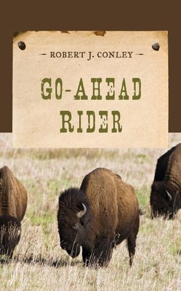 GO AHEAD RIDER                PB