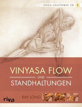 Yoga-Anatomie 3D. Vinyasa Flow und Standhaltungen