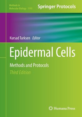 Epidermal Cells