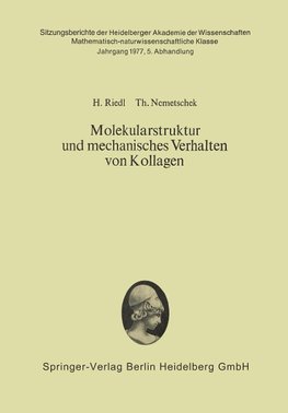 Molekularstruktur und mechanisches Verhalten von Kollagen