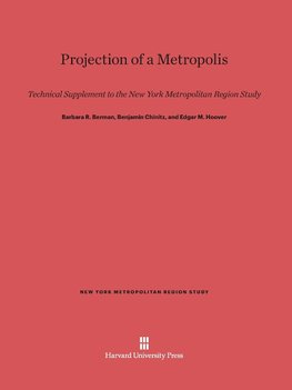 Projection of a Metropolis