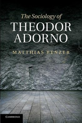 The Sociology of Theodor Adorno