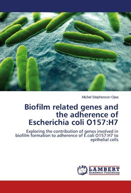 Biofilm related genes and the adherence of Escherichia coli O157:H7