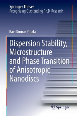 Dispersion Stability, Microstructure and Phase Transition of Anisotropic Nanodiscs