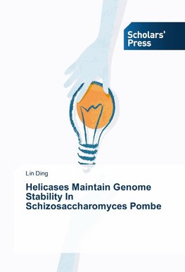 Helicases Maintain Genome Stability In Schizosaccharomyces Pombe