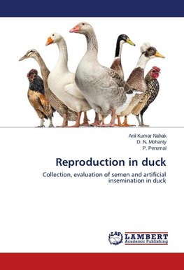 Reproduction in duck