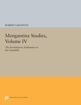 Morgantina Studies, Volume IV