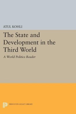 The State and Development in the Third World