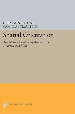 Spatial Orientation