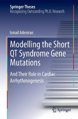 Modelling the Short QT Syndrome Gene Mutations