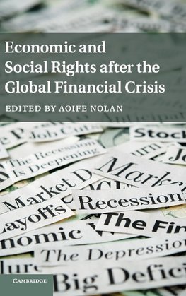 Economic and Social Rights after the Global Financial             Crisis