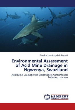 Environmental Assessment of Acid Mine Drainage in Ngwenya, Swaziland