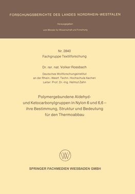 Polymergebundene Aldehyd- und Ketocarbonylgruppen in Nylon 6 und 6, 6 - ihre Bestimmung, Struktur und Bedeutung für den Thermoabbau