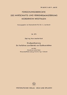 Druckgasfeuerung Ein Verfahren zum Betrieb von Gasfeuerstätten