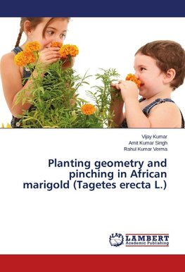 Planting geometry and pinching in African marigold (Tagetes erecta L.)