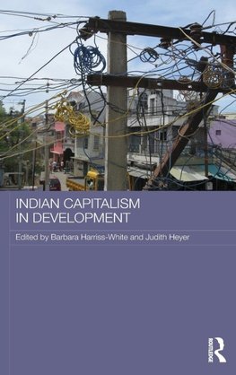 Indian Capitalism in Development