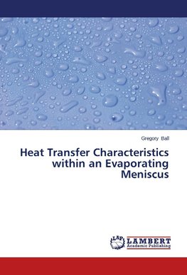 Heat Transfer Characteristics within an Evaporating Meniscus