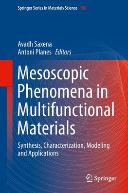 Mesoscopic Phenomena in Multifunctional Materials