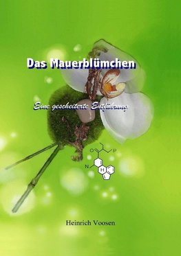 Das Mauerblümchen