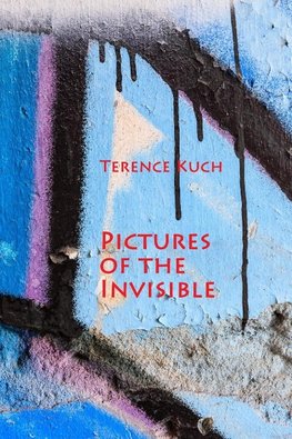 Pictures of the Invisible