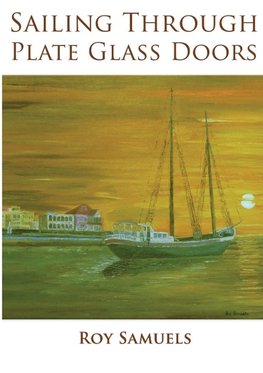 Sailing Through Plate Glass Doors