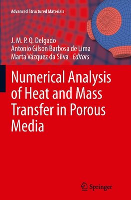 Numerical Analysis of Heat and Mass Transfer in Porous Media