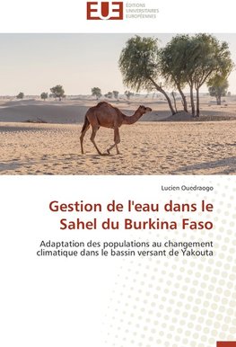 Gestion de l'eau dans le Sahel du Burkina Faso